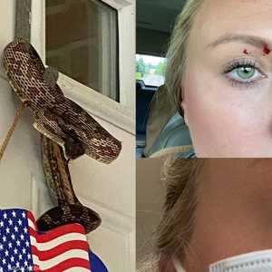 الأفعى كانت معلقة على باب المنزل الخارجي