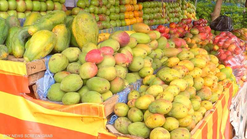 إثيوبيا.. تجارة الفاكهة بين تحديات الإنتاج وضرورات التسويق