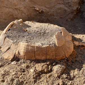 السلحفاة ليست الأولى التي تم العثور عليها في المدينية