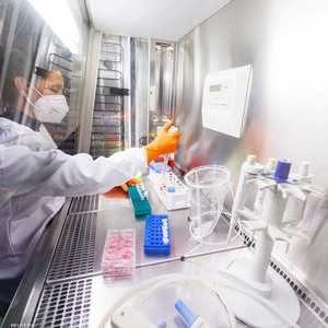 يحاول العلماء مجابهة تفشي فيروس جدري القردة.. أرشيفية