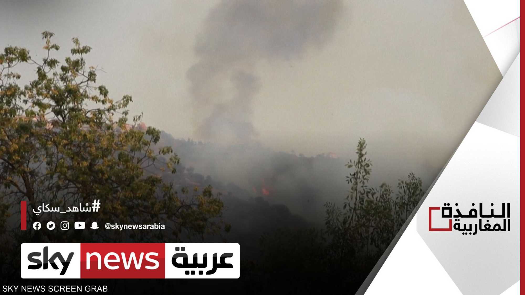 جهود في الجزائر للحد من حرائق الغابات