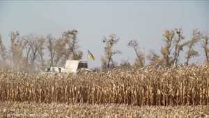منظمات دولية تحذر من استمرار ارتفاع أسعار القمح