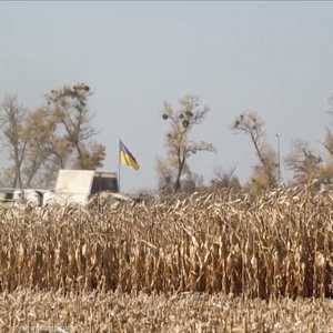منظمات دولية تحذر من استمرار ارتفاع أسعار القمح