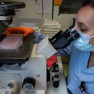 أرشيفية.. يسعى العلماء جاهدين لإيجاد علاجات لأنواع السرطان