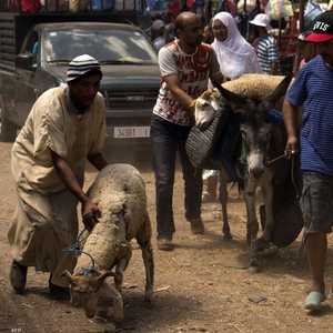 تصريحات الوزير خلفت تساؤلات حول أسعار الأضاحي هذه السنة