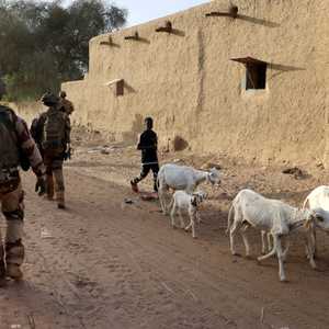 قرية في ضواحي مدينة غاو، جنوب شرقي مالي