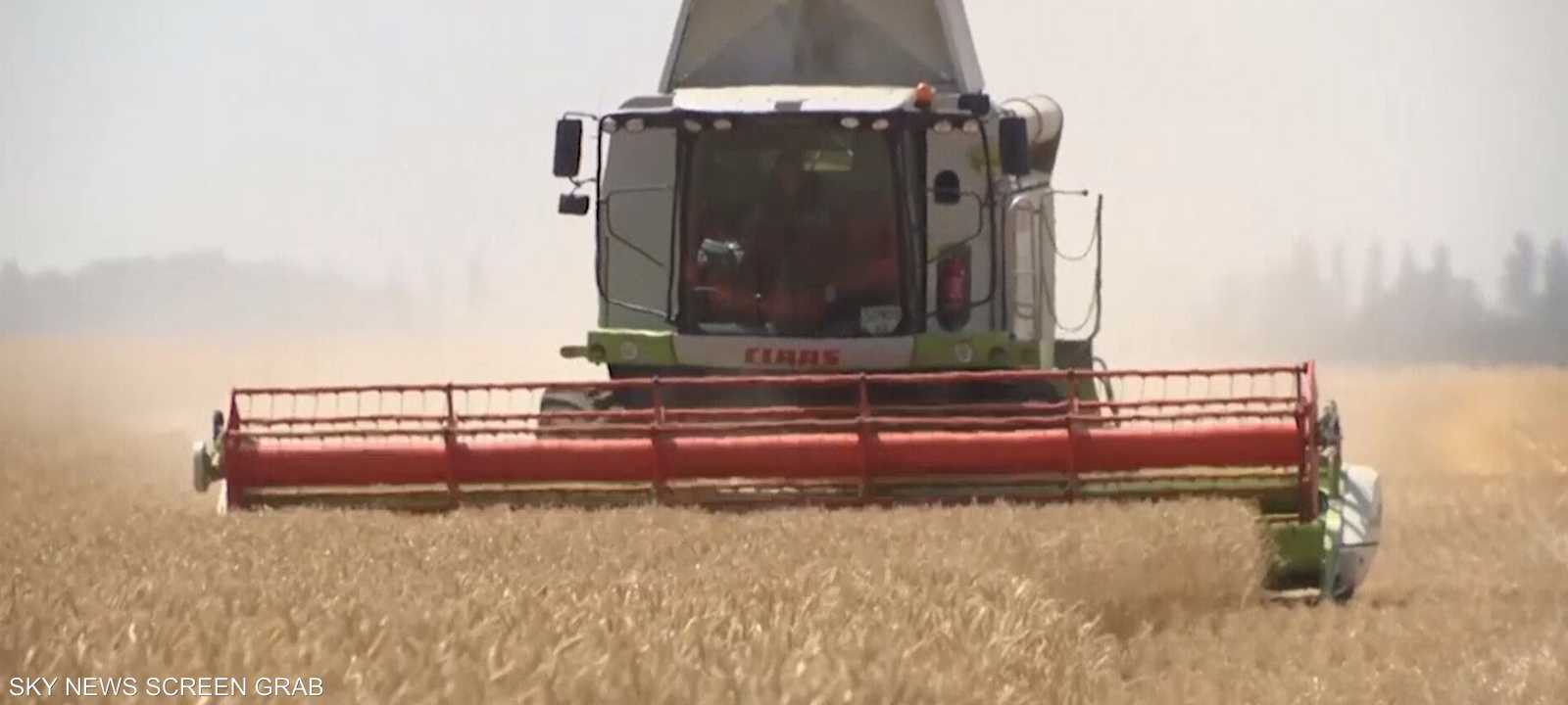 تصدير الحبوب من أوكرانيا يشكل هاجسا عالميا