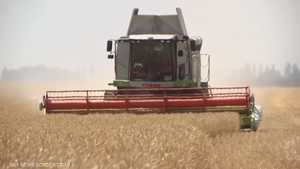 مباحثات روسية أوكرانية بشأن تصدير الحبوب