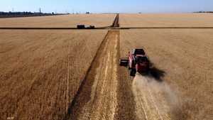 يحصد المزارعون في البلدين حاليا محصول القمح الخاص بعام 2022