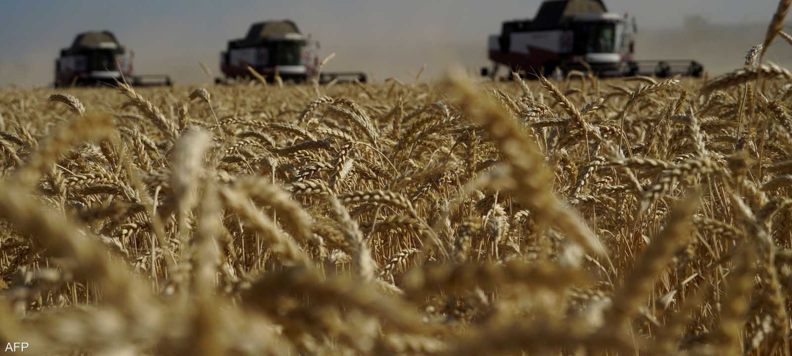 صادرات الحبوب الأوكرانية تتراجع