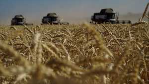 دول أوروبية تواصل حظر واردات الحبوب الأوكرانية