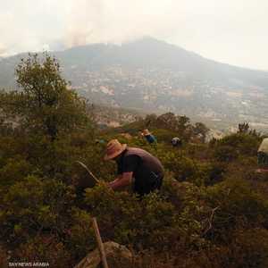 حرائق اندلعت في غابات بالمغرب مع ارتفاع درجات الحرارة