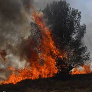 حرائق الغابات تستعر في فرنسا