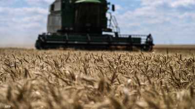 الحرب في أوكرانيا تعمّق أزمة الغذاء