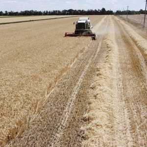 تعد أوكرانيا وروسيا من أكبر الدول المصدرة للمواد الغذائية