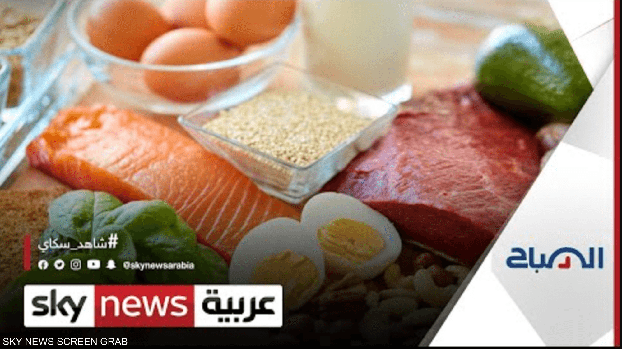 هل يمكن بروتين الفطر والطحالب أفضل من بروتين اللحوم؟