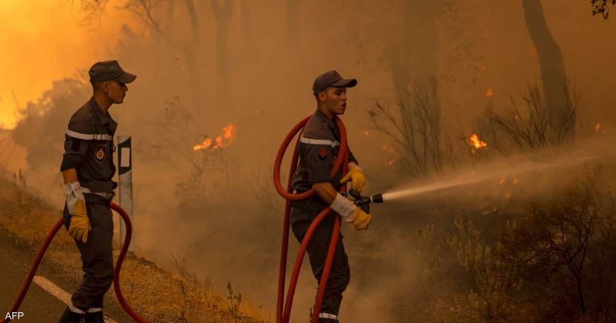 المغرب يطلق برنامجا عاجلا لدعم المناطق المتضررة من الحرائق - Sky News Arabia سكاي نيوز عربية