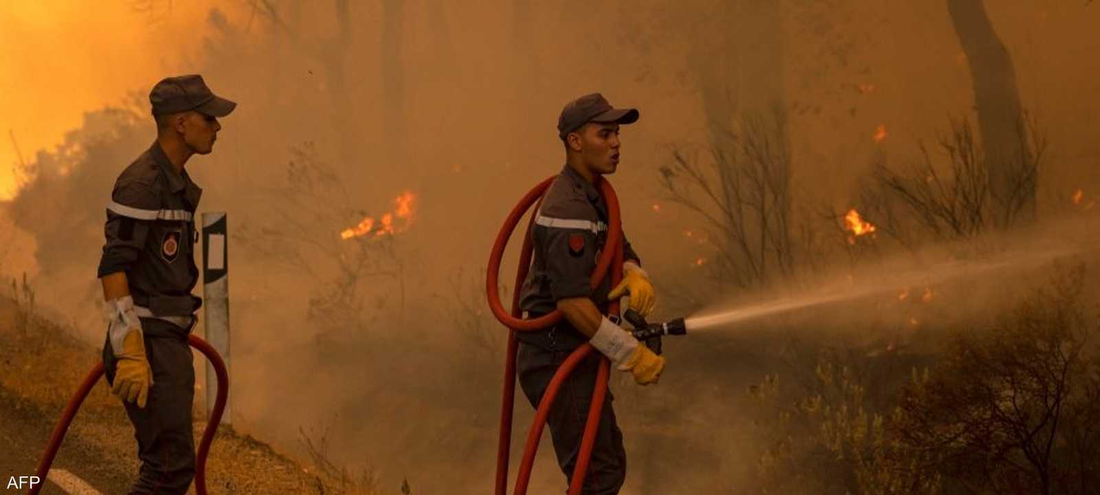 حرائق المغرب ألحقت بالغابات خسائر كبيرة