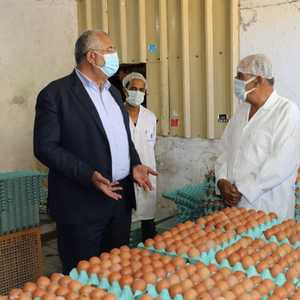 تنتج مصر سنويا ما بين 13 و14مليار بيضة