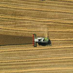 الحرب في أوكرانيا سببت أزمة غذاء عالمية