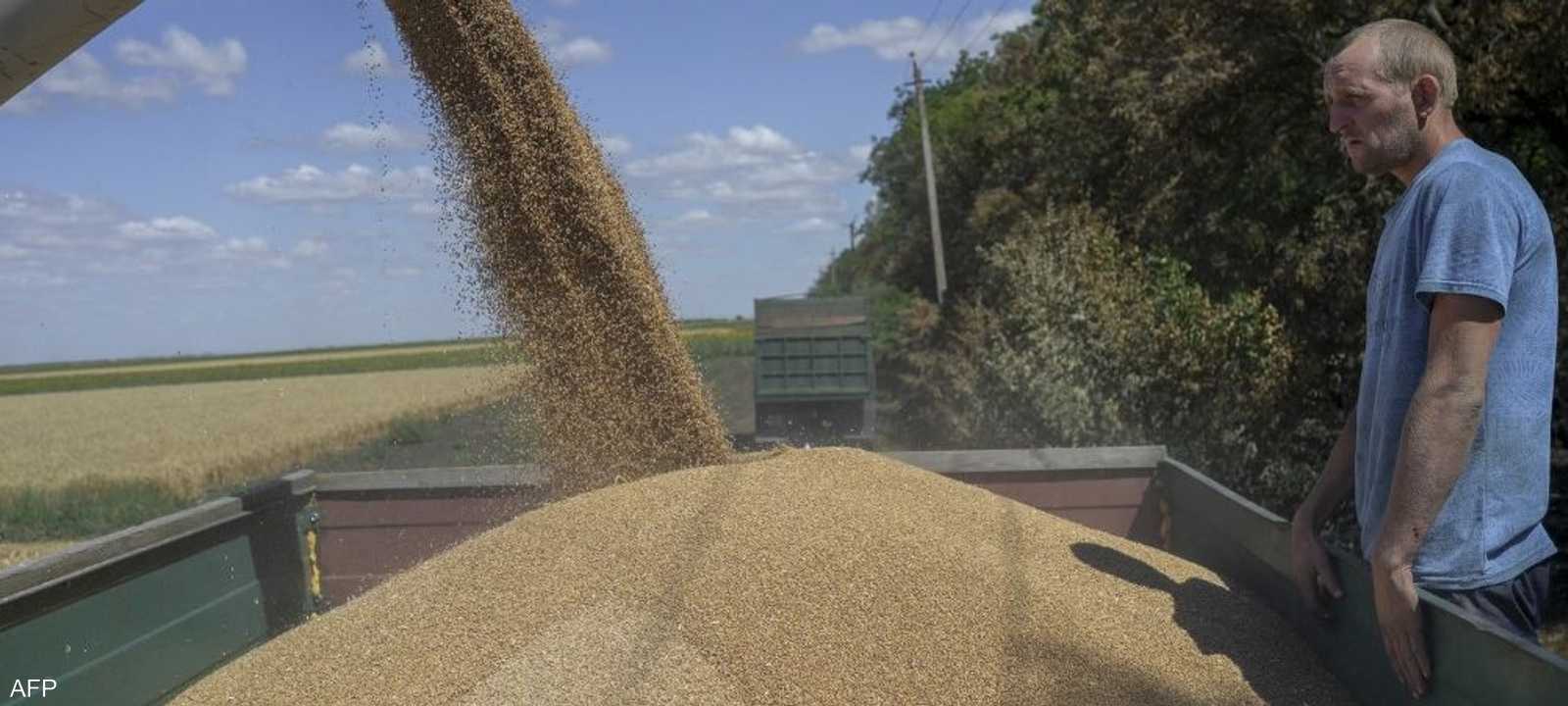 تشكل أوكرانيا وروسيا نحو ثلث صادرات القمح العالمية