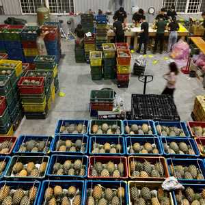 الحظر التجاري الصيني يشمل بعض أنواع الفواكه والأسماك