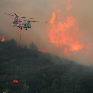 قلق دولي لتزايد وتيرة حرائق الغابات
