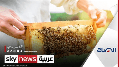 لبناني محب للنحل يحوّل مزرعته لمنحلة لإنتاج العسل