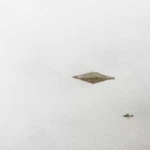 صورة ترصد طبقا طائرا في أغسطس 1990.