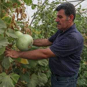 الزراعة في العراق تواجه عددا من التحديات الجسيمة