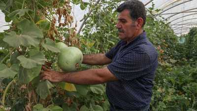 الزراعة في العراق تواجه عددا من التحديات الجسيمة