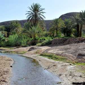 واحة في منطقة ورزازات جنوب شرقي المغرب