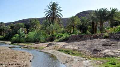 واحات المغرب.. كنز طبيعي يدفع ضريبة التغير المناخي