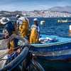 الثروة السمكية مهددة بالمغرب نتيجة لممارسات الصيد غير الشرعي