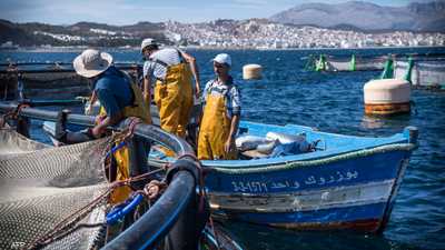 الثروة السمكية مهددة بالمغرب نتيجة لممارسات الصيد غير الشرعي