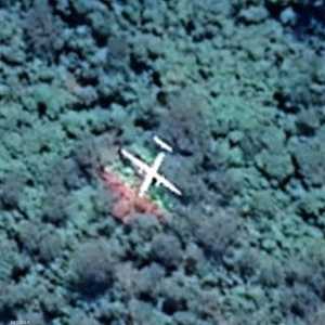 الطائرة تظهر فوق منطقة الغابات المطيرة في أستراليا.