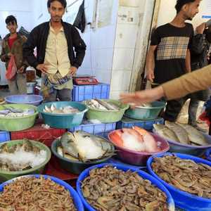 تقرير يحذر من استنزاف المأكولات البحرية للكائنات البحرية