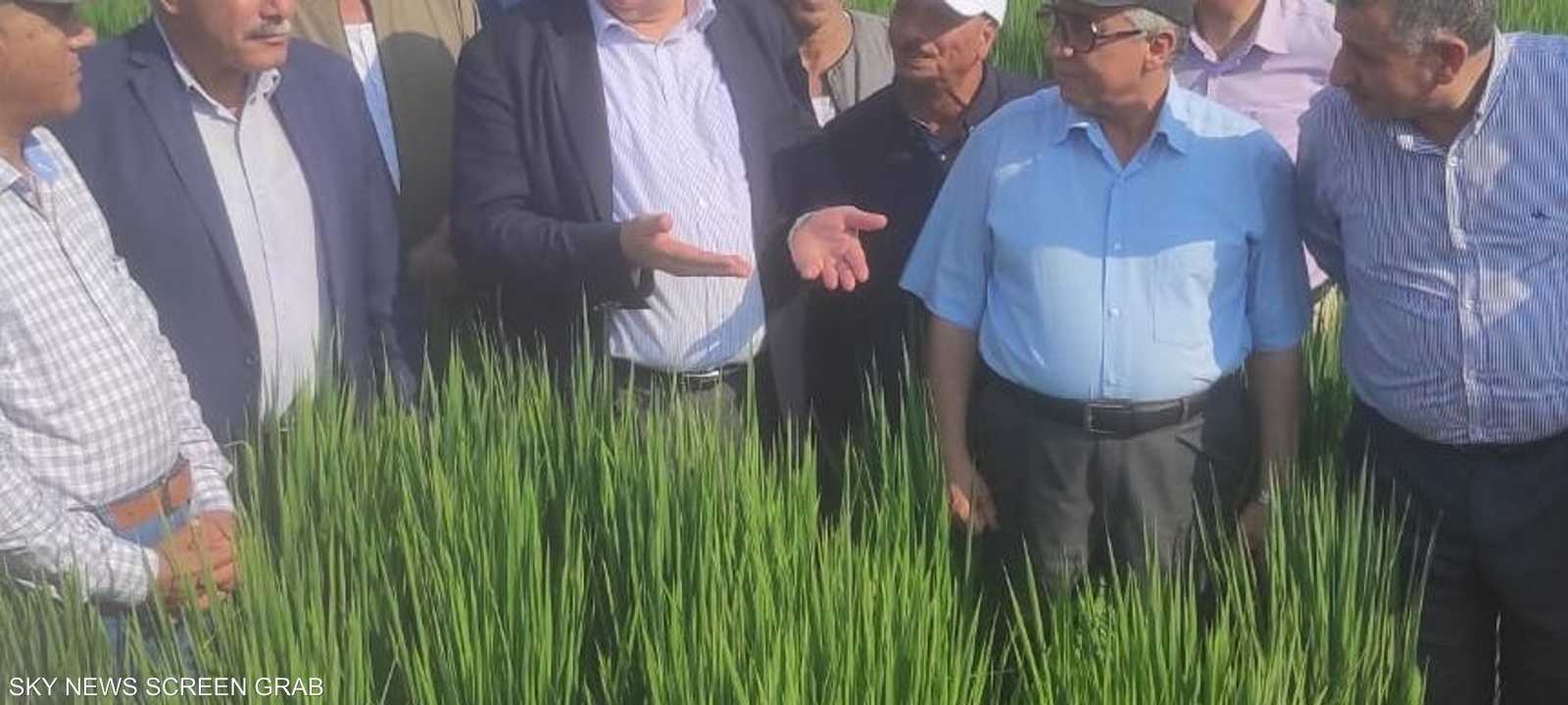 وزير الزراعة المصري يتفقد حقل محصول الأرز الجديد