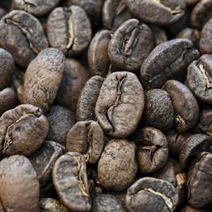 يهيمن صغار المزارعين على إنتاج البن في بابوا غينيا.أرشيف