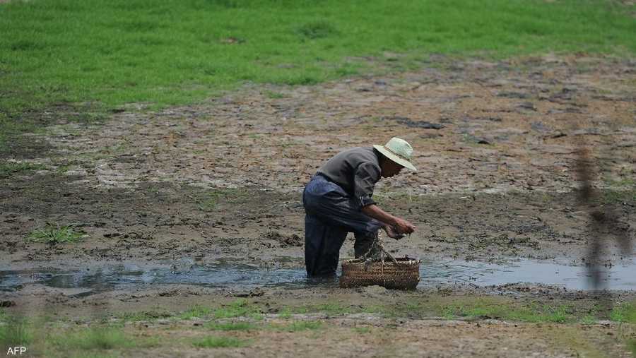 قررت الحكومة الأربعاء صرف 10 مليارات يوان (قرابة 1.5 مليار يورو) لدعم المزارعين في مواجهة الجفاف.