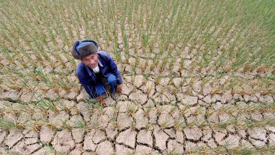 يطرح الجفاف مشكلة خاصة بالنسبة إلى محاصيل الأرز وفول الصويا التي تستهلك كميات كبيرة من المياه.