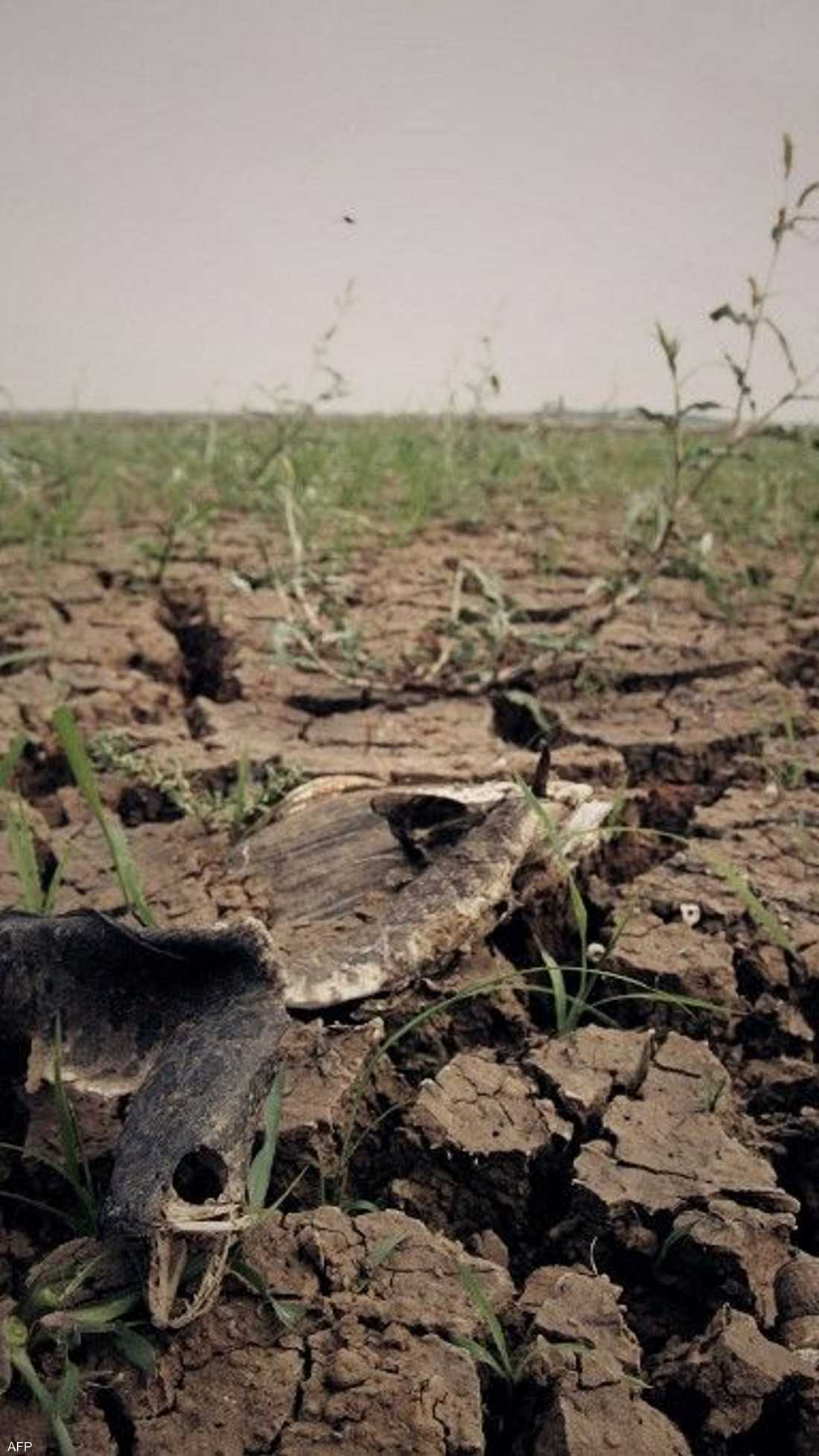 الجفاف يسيطر على أكثر من نصف أراضي الصين