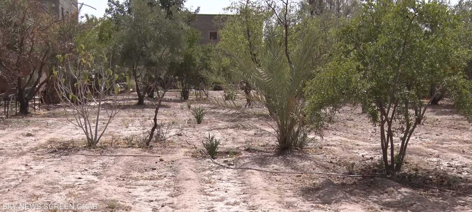 المغرب يعيش أسوأ موجة جفاف منذ 40 سنة