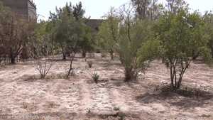 المغرب يعيش أسوأ موجة جفاف منذ 40 سنة