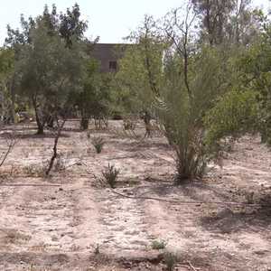 المغرب يعيش أسوأ موجة جفاف منذ 40 سنة