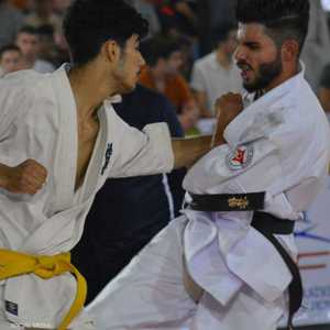 الاتحاد العراقي للكيوكوشنكاي حقق إنجازات عديدة..أرشيفية