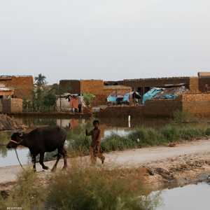الفيضانات خلال موسم الأمطار الموسمية في ميهار - باكستان