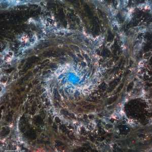 صورة لمجرة "فانتوم" التقطها التلسكوب الفضائي "جيمس ويب"