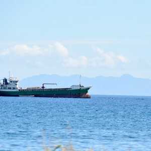 ليس هناك "جدول زمني محدد" لتحديث الإجراءات