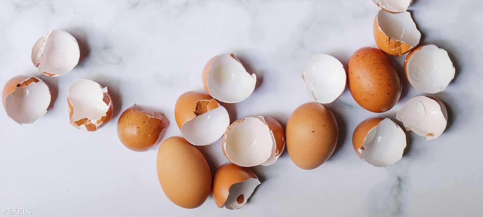 فوائد كبيرة لقشور البيض